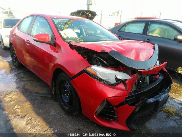 Toyota Corolla L/le/xle/se/xse 2019 2T1BURHEXKC221826 главное изображение