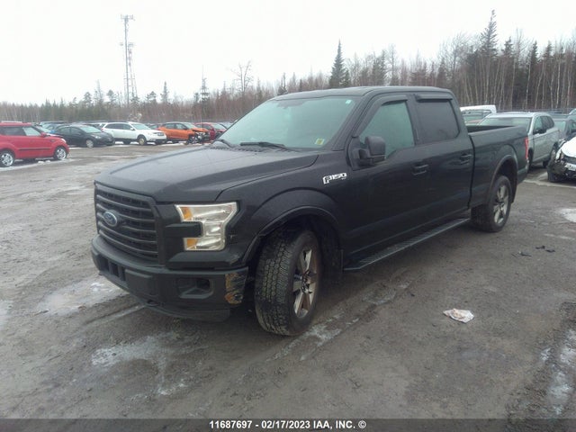 11687697 :رقم المزاد ، 1FTFW1EF1GFD25355 vin ، 2016 Ford F150 Supercrew مزاد بيع