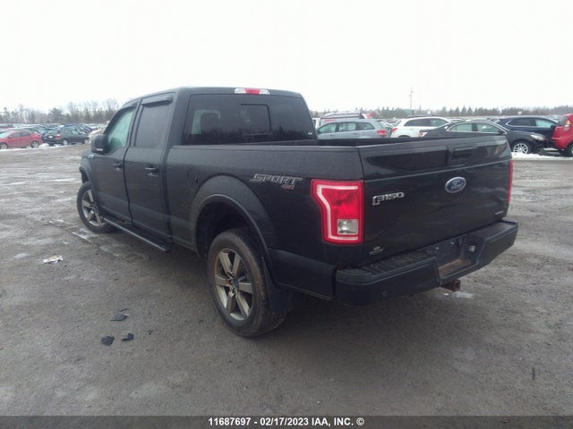 11687697 :رقم المزاد ، 1FTFW1EF1GFD25355 vin ، 2016 Ford F150 Supercrew مزاد بيع