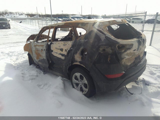 Hyundai TUCSON SE 2017 KM8J2CA45HU560369 Image 3