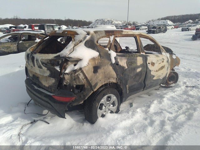 Hyundai TUCSON SE 2017 KM8J2CA45HU560369 Image 4