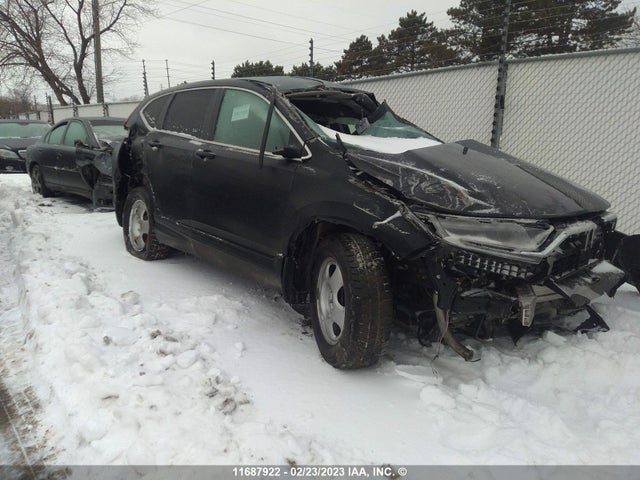 Honda CR-V LX 2020 2HKRW2H25LH204081 головне зображення