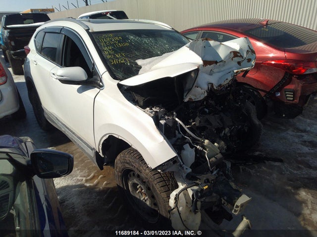 2019 2HKRW2H99KH113150 главное изображение