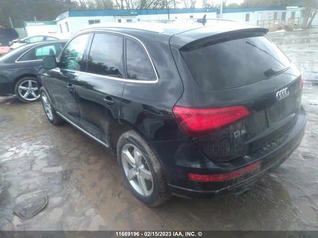 WA1LGCFP1DA084306 Audi Q5 Premium Plus