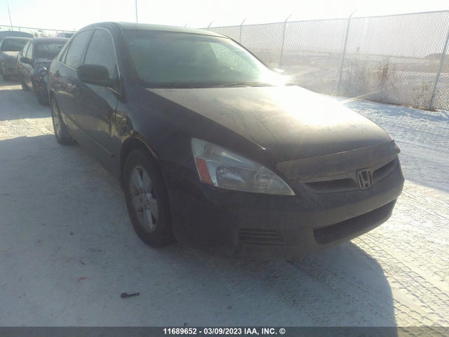 Honda ACCORD EX 2007 1HGCM56767A810368 main image