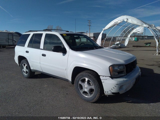 Chevrolet Trailblazer Ls/lt 2007 1GNDT13S472167429 zdjęcie główne
