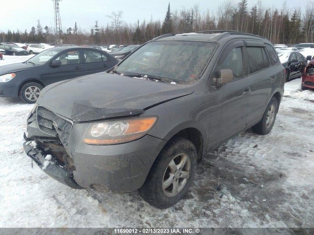 Hyundai Santa Fe Gl 2009 5NMSG73E19H315102 Image 2