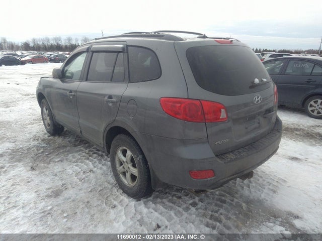 Hyundai Santa Fe Gl 2009 5NMSG73E19H315102 Image 5