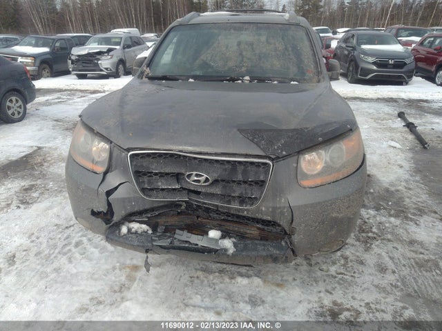 Hyundai Santa Fe Gl 2009 5NMSG73E19H315102 Image 8