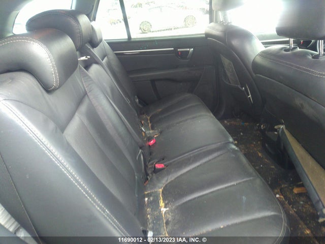 Hyundai Santa Fe Gl 2009 5NMSG73E19H315102 Image 10