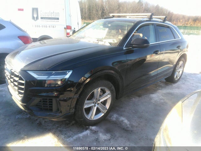 WA1AVAF14KD024450 Audi Q8 PREMIUM