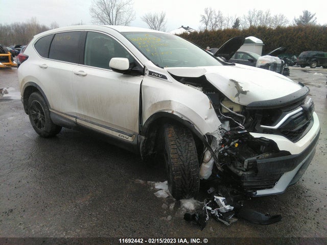 Honda CR-V LX 2022 2HKRW2H2XNH221901 главное изображение
