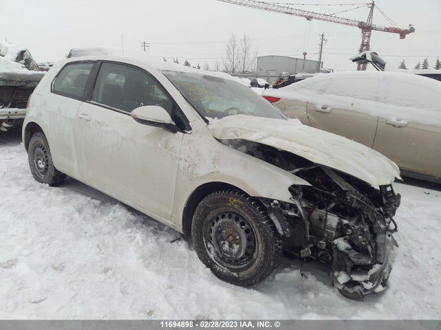 2016 3VW817AU8GM044083 main image