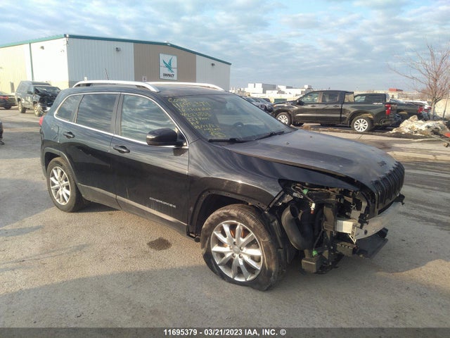 1C4PJMDS1GW223833 auction archive image