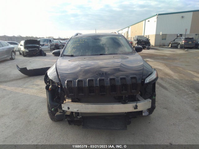 1C4PJMDS1GW223833 Jeep Cherokee Limited