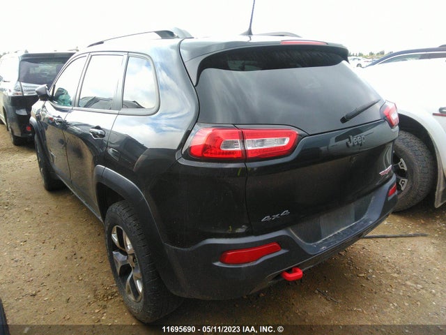 1C4PJMBS0GW315194 Jeep Cherokee Trailhawk