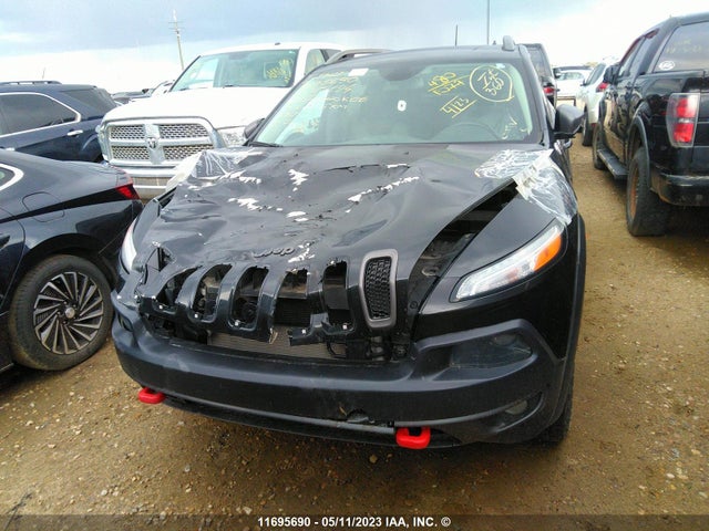 1C4PJMBS0GW315194 Jeep Cherokee Trailhawk