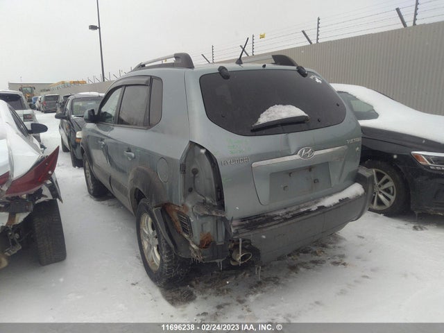Hyundai Tucson Gl 2006 KM8JM12D66U320743 Image 7