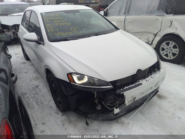 3VW217AU2FM028448 auction archive image