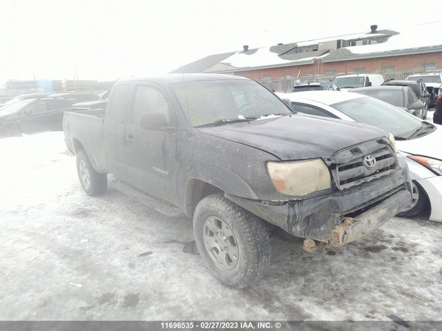 Toyota Tacoma Access Cab 2009 5TEUX42N59Z660111 главное изображение