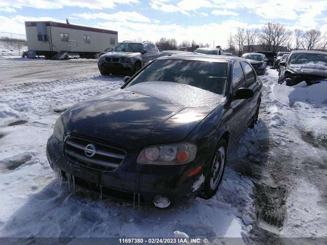 Nissan Maxima Gle/se 2003 JN1DA31A73T442237 Image 2