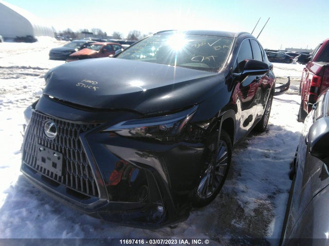 2T2GKCEZ2NC006702 Lexus NX 350H