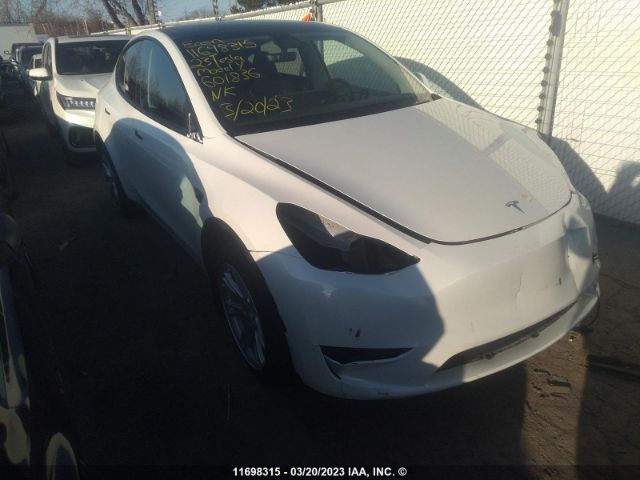 Продажа на аукционе авто 2023 Tesla Model Y, vin: 7SAYGDEE9PF601836, номер лота: 11698315