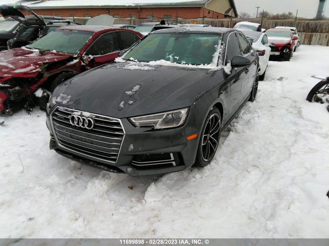 WAUENAF4XHN013597 Audi A4 Premium Plus