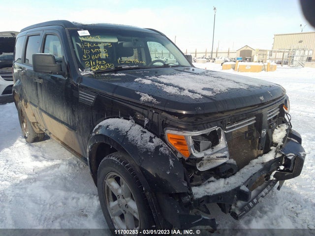 Dodge NITRO SXT 2010 1D4PU5GK3AW116494 zdjęcie główne