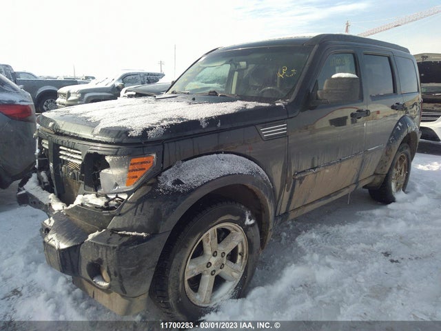 Dodge NITRO SXT 2010 1D4PU5GK3AW116494 Image 2