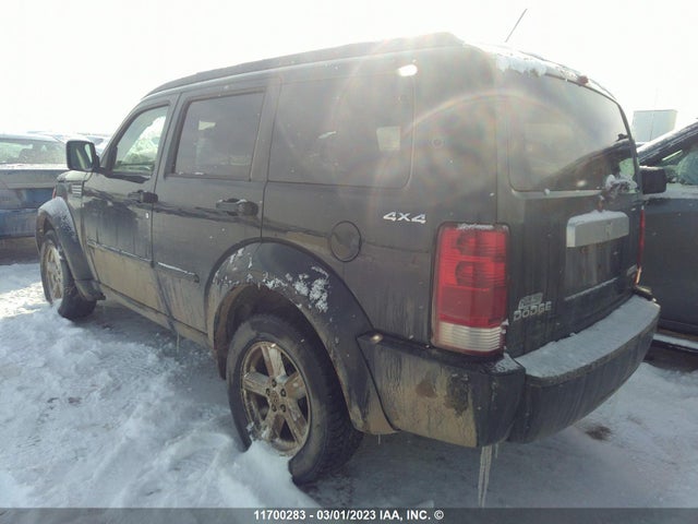 Dodge NITRO SXT 2010 1D4PU5GK3AW116494 Image 4