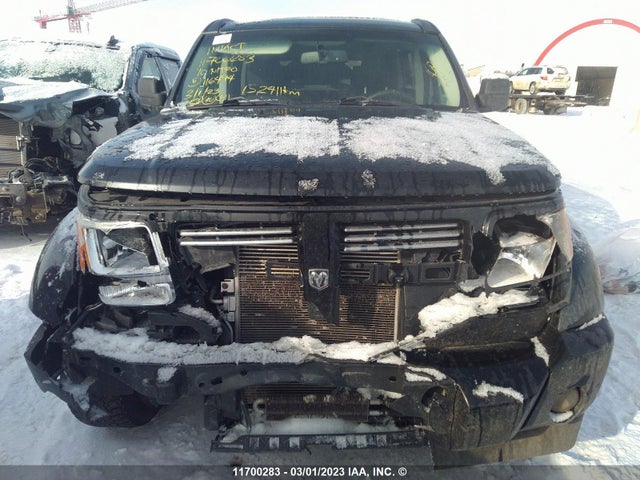 Dodge NITRO SXT 2010 1D4PU5GK3AW116494 Image 7
