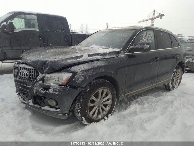 WA1LGCFP3DA084873 Audi Q5 Premium Plus