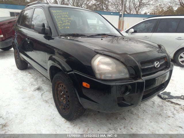 Hyundai Tucson Gl 2005 KM8JM12B35U170846 главное изображение