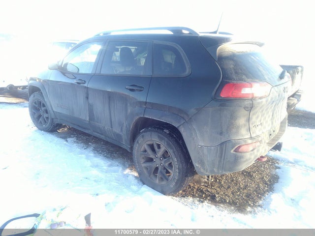 1C4PJMBS5GW349728 Jeep Cherokee Trailhawk