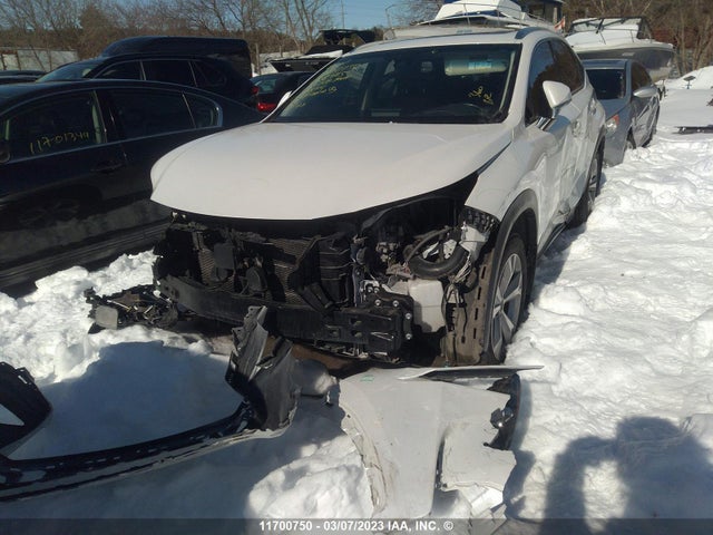 JTJBJRBZ1F2008415 Lexus NX 300H