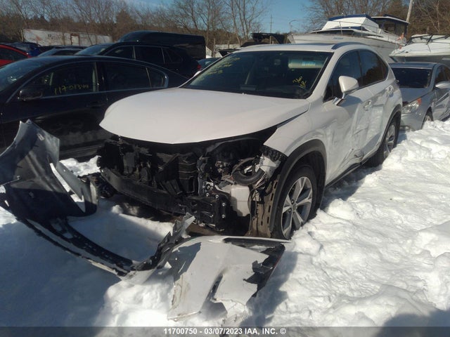 JTJBJRBZ1F2008415 Lexus NX 300H