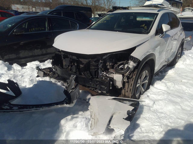 JTJBJRBZ1F2008415 Lexus NX 300H