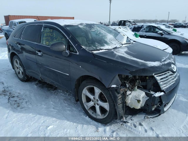 Toyota Venza 2009 4T3BK11A29U004513 main image