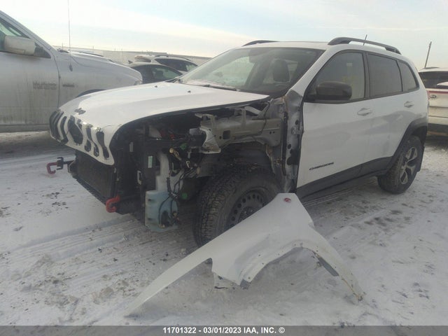 Jeep Cherokee Trailhawk 2016 1C4PJMBS3GW180843 Image 2