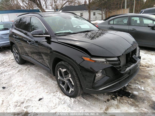 Hyundai Tucson Luxury/ultimate 2022 KM8JDDA22NU040365 Image 1