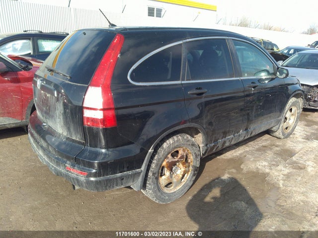 Honda CR-V LX 2011 5J6RE3H37BL800007 Image 6