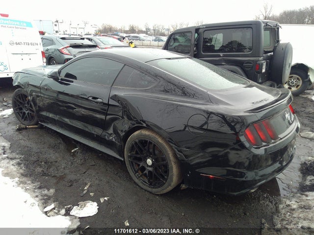 Ford Mustang 2017 1FA6P8AM9H5318547 Image 5