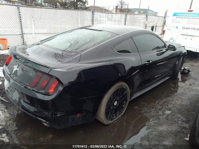 Ford Mustang 2017 1FA6P8AM9H5318547 Image 6