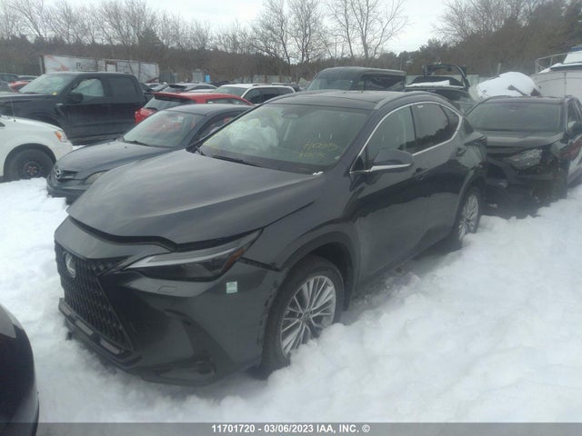 2T2GGCEZ4PC020279 Lexus NX 350
