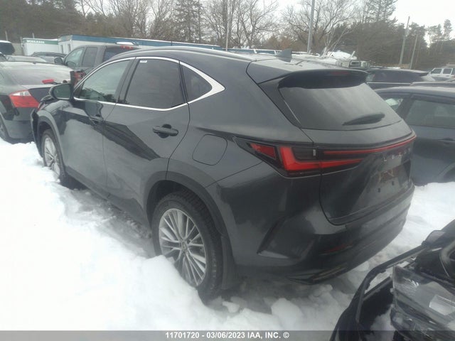 2T2GGCEZ4PC020279 Lexus NX 350