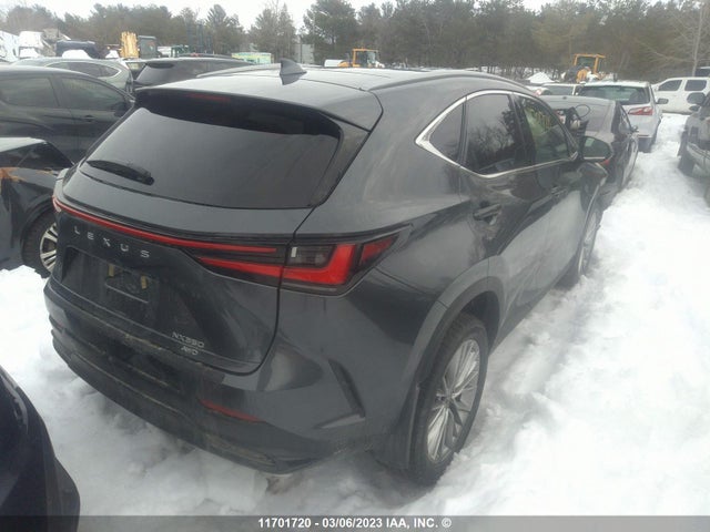 2T2GGCEZ4PC020279 Lexus NX 350