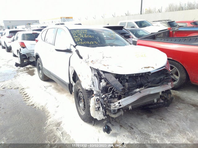 Honda CR-V LX 2019 2HKRW2H2XKH128081 main image