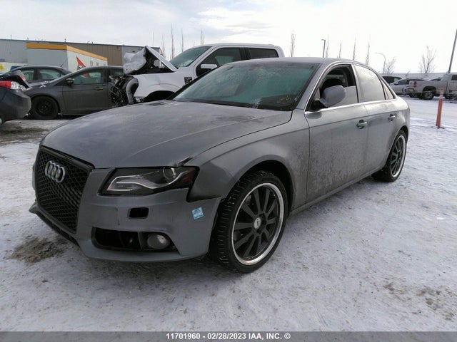 WAUHFCFLXBN055594 Audi A4 Premium Plus