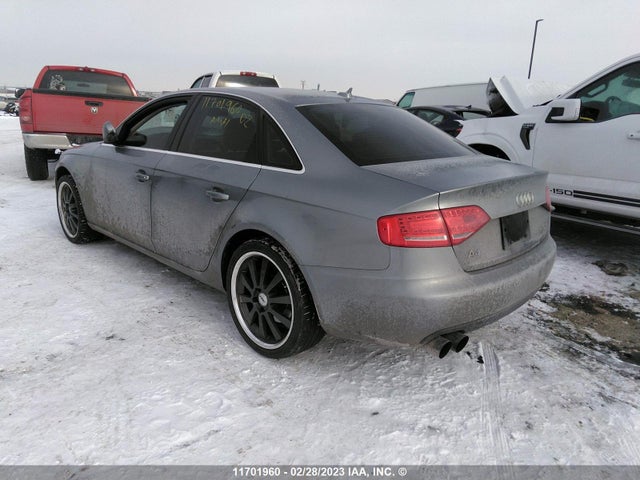 WAUHFCFLXBN055594 Audi A4 Premium Plus